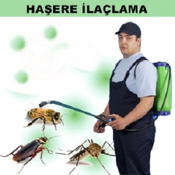 Güce Böcek İlaçlama
